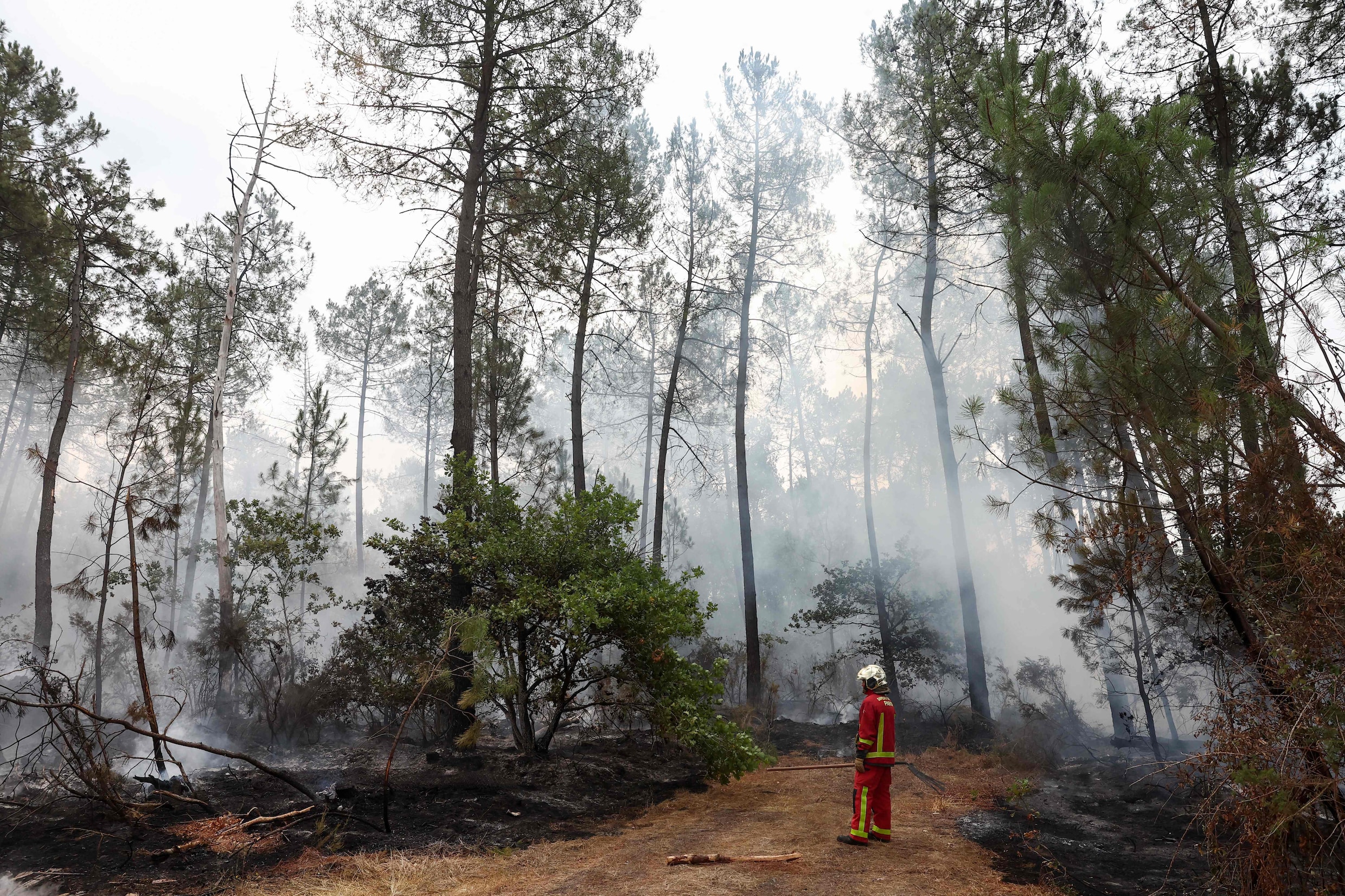 Een brandweerman neemt de schade op in een bos ten westen van Bordeaux.
