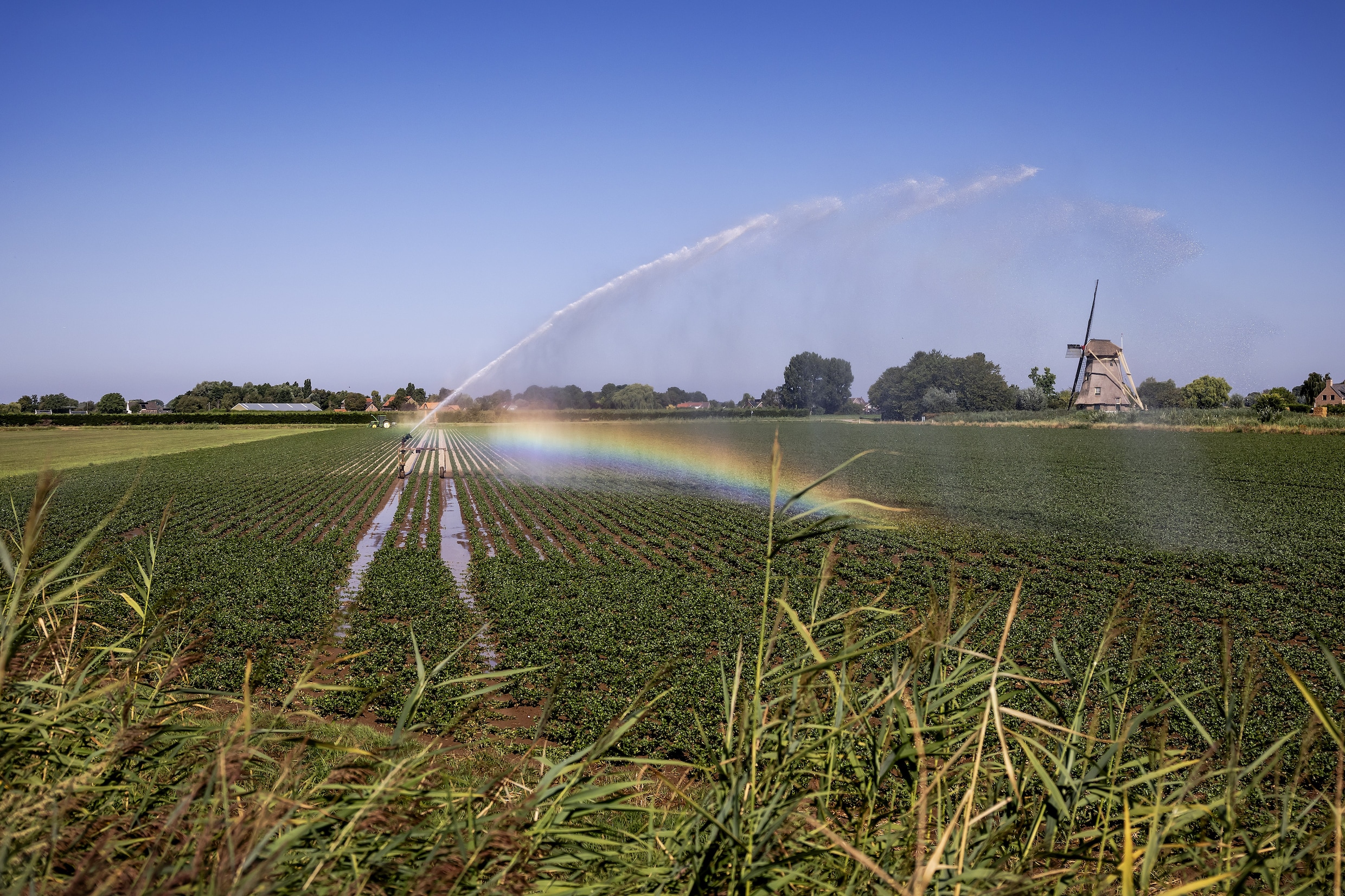 Het beregenen van gewassen in het Brabantse Hank