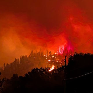 Dode bij grote natuurbrand in West-Canadese provincie British Columbia