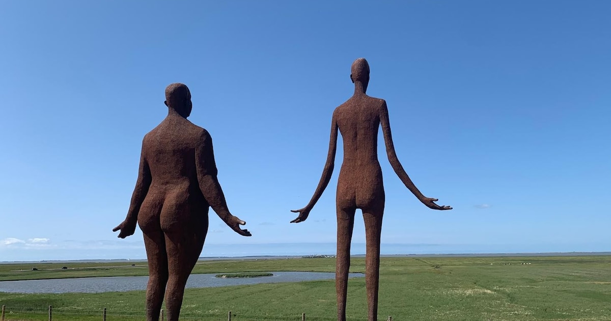 Tussen hemel en klei: op de (elektrische) fiets door het vlakke land tussen Dokkum en de Waddenzee