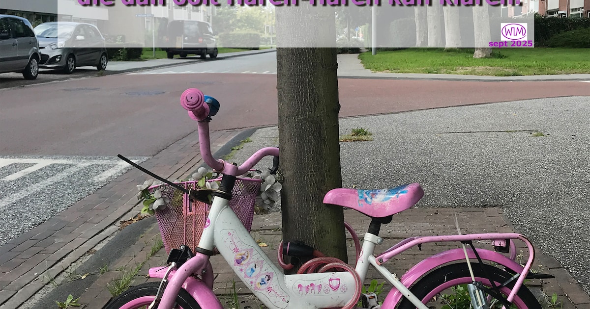 Ook Wim uit Groningen zag een verlaten kinderfietsje, en schreef er een gedichtje bij. De eigenaar v