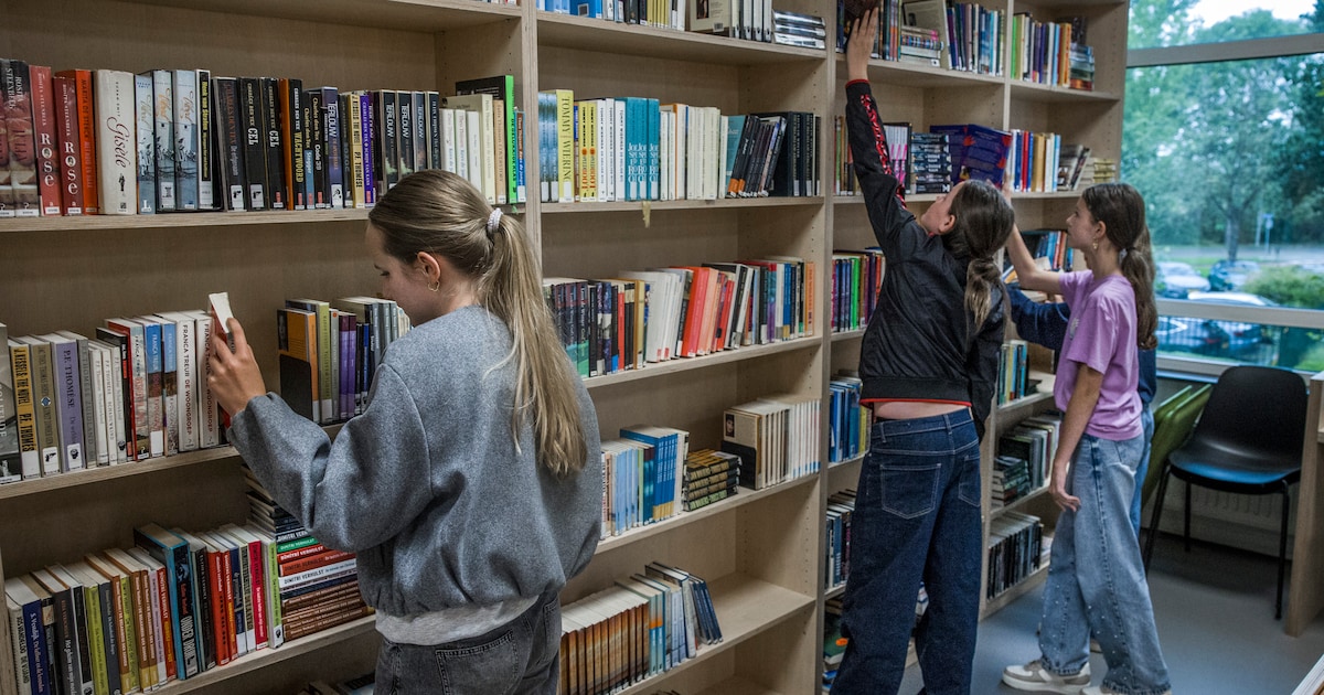 Opinie: Begrijpend lezen is geen gedachteloos monster