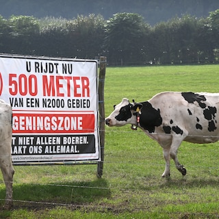 Bestuurscrisis in provincie Gelderland met BBB vanwege stikstofregels bezworen