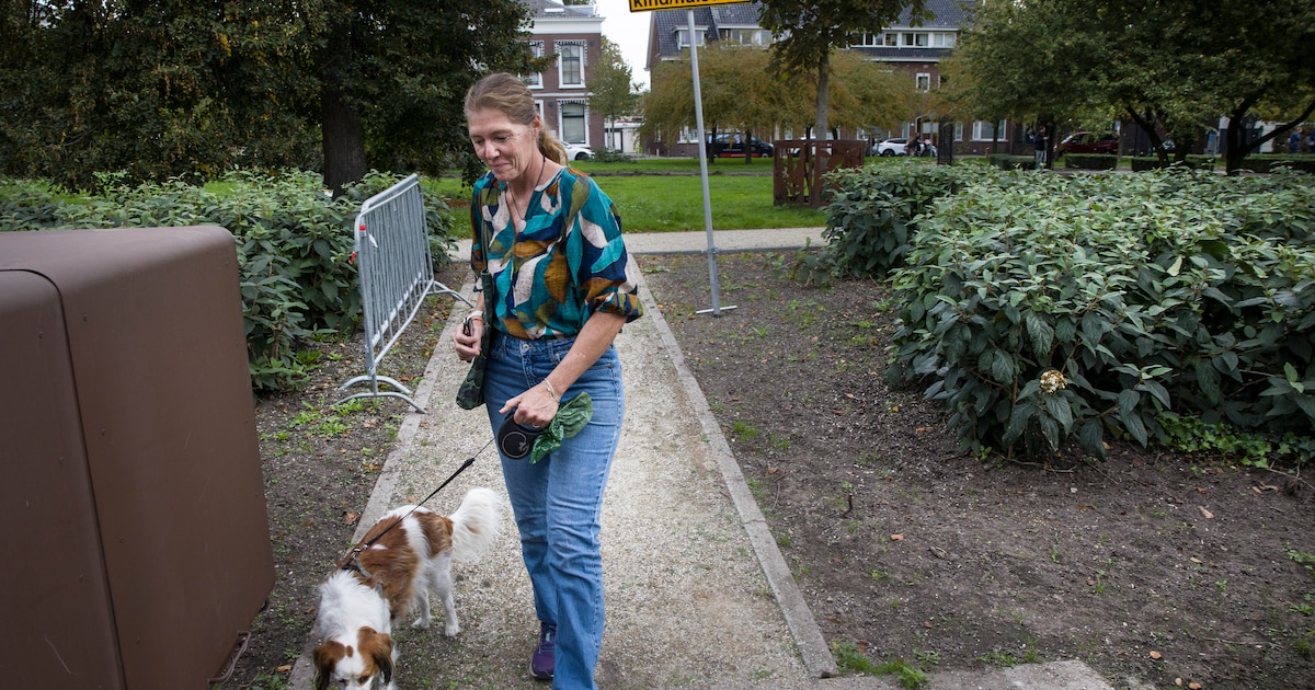 Baasjes in rouw door plotselinge hondensterfte in Schiedamse wijk rond park De Plantage