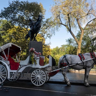 Eind aan ruim 160-jarige traditie: New York wil verbod op paardenkoetsen Central Park
