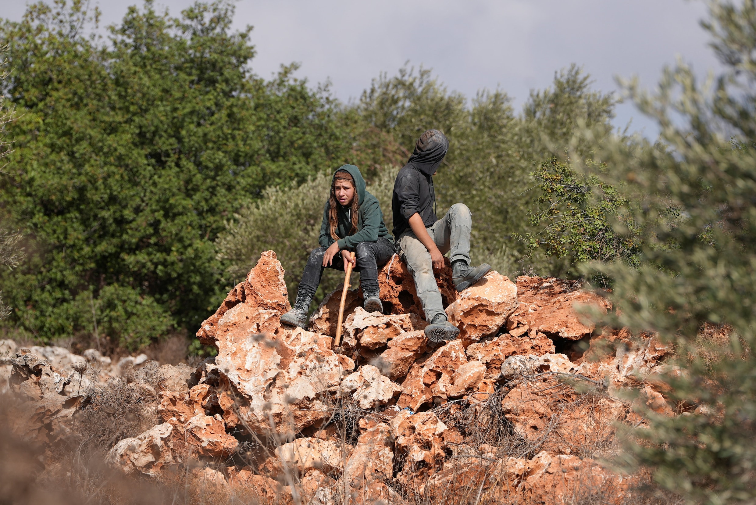 Israëlische kolonisten kijken toe bij de olijfoogst door Palestijnen in Turmus Ayya, in de buurt van Ramallah.