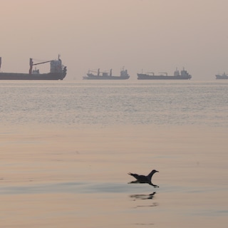 Olietanker op Straat van Hormuz geraakt door boot met explosieven
