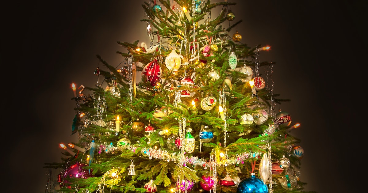 Mengapa cabang-cabang itu tidak tetap indah?  Ditambah empat fakta pohon Natal lainnya