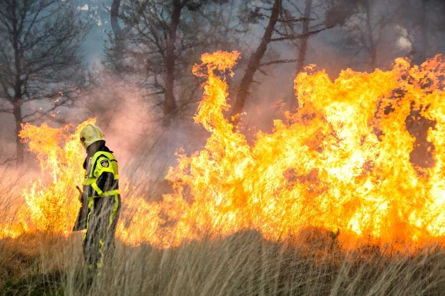 Jeugdgevangenis ontruimd om grote natuurbrand Breda