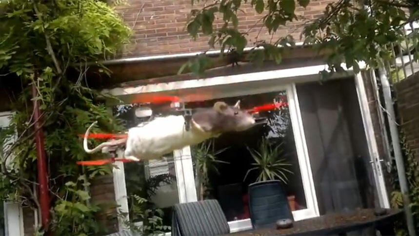 Britten vergapen zich aan Nederlandse 'Ratcopter' | de Volkskrant